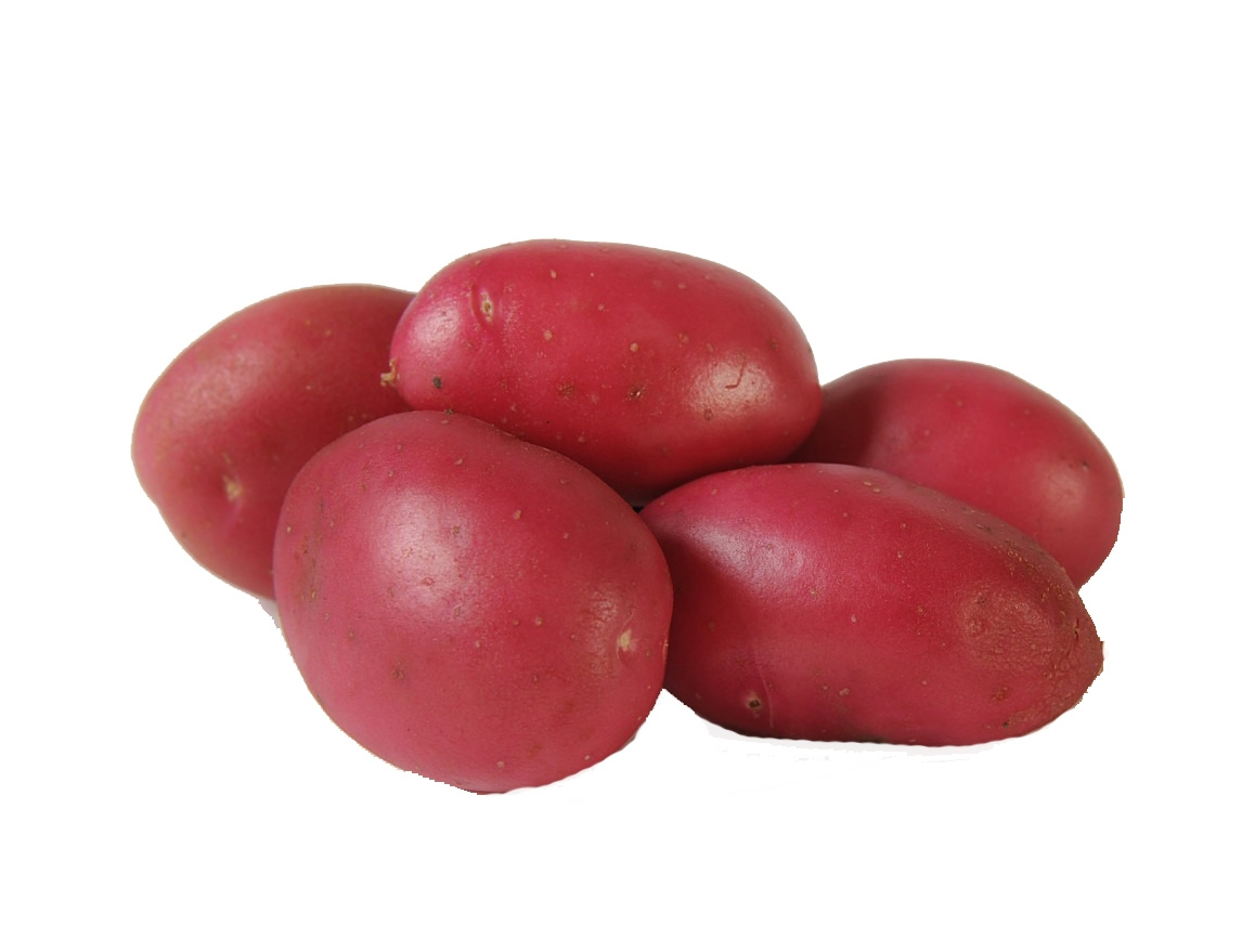 Dunastar